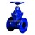 Gate Valve V5-GAN-GP16-G100-F